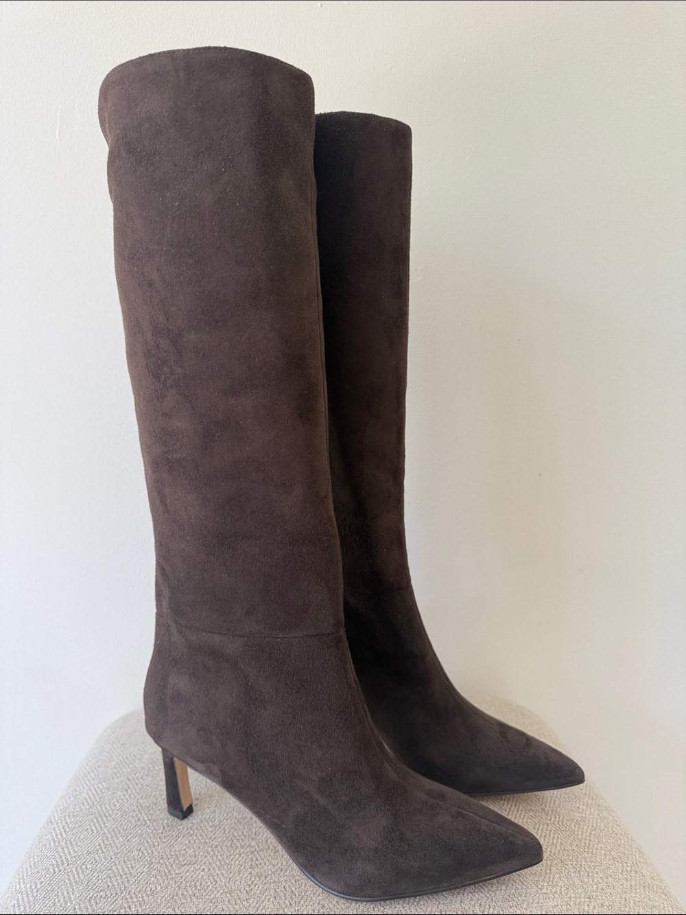 Nine West Caddy Tall Pointed-Toe Suede Knee Boots - Dark Brown Medium Calf
